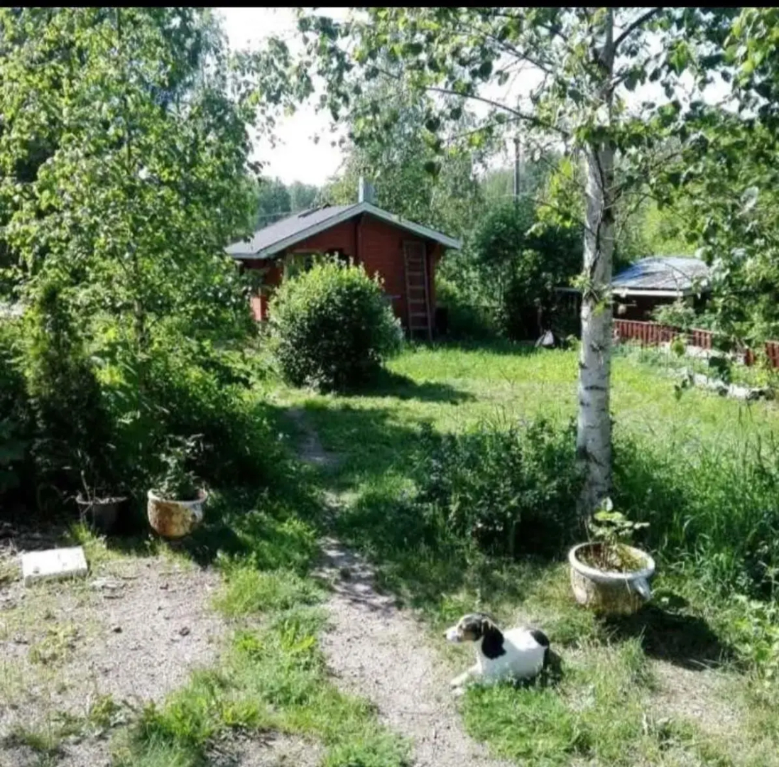 Paulas Cottage B&B
