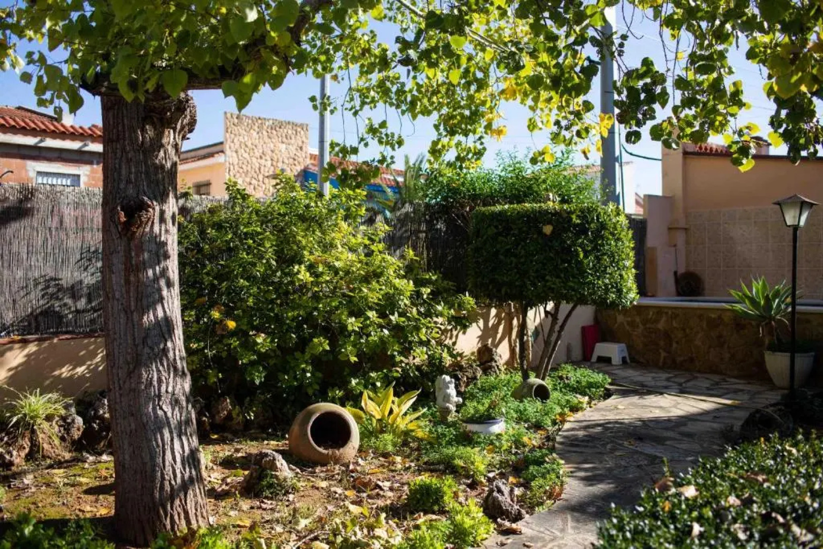 The Orange Lemon Tree House