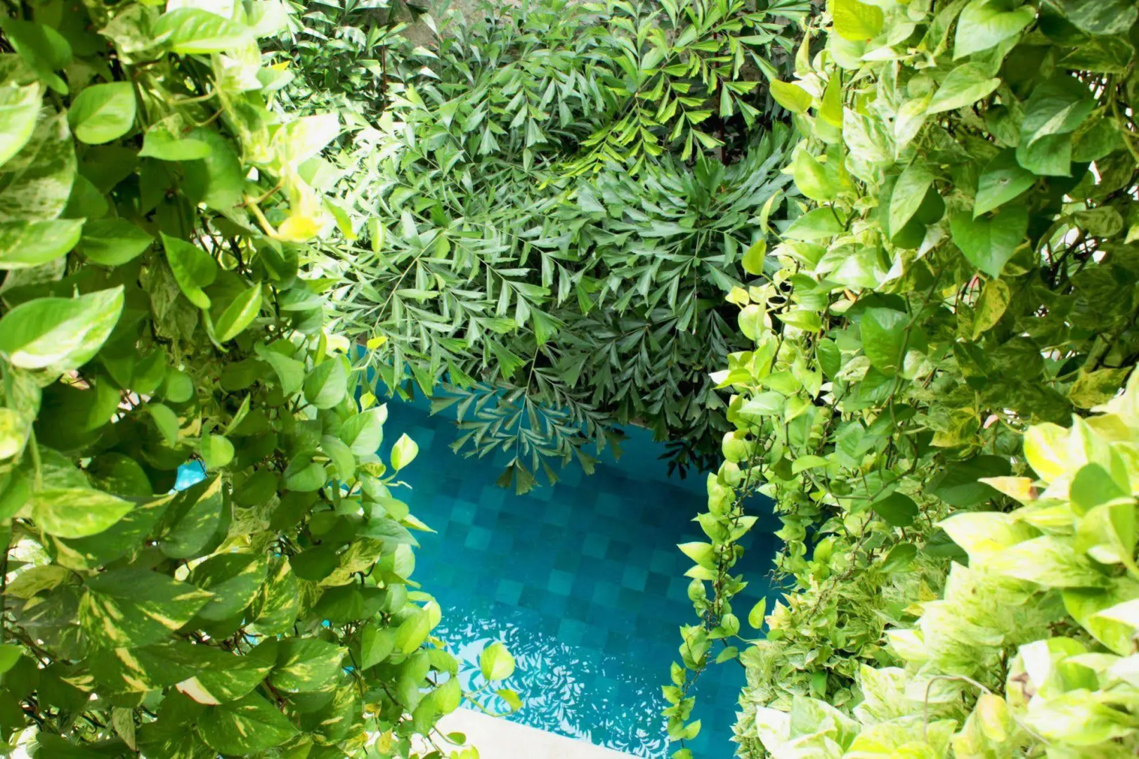 Hotel Casa Don Sancho by Mustique