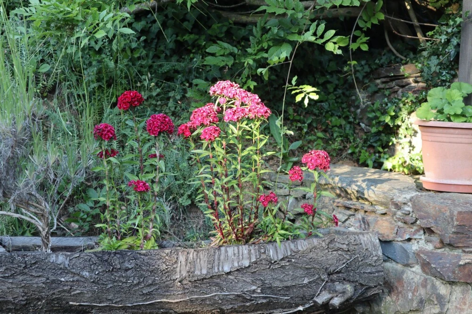 Reposo goce y alimento para los sentidos
