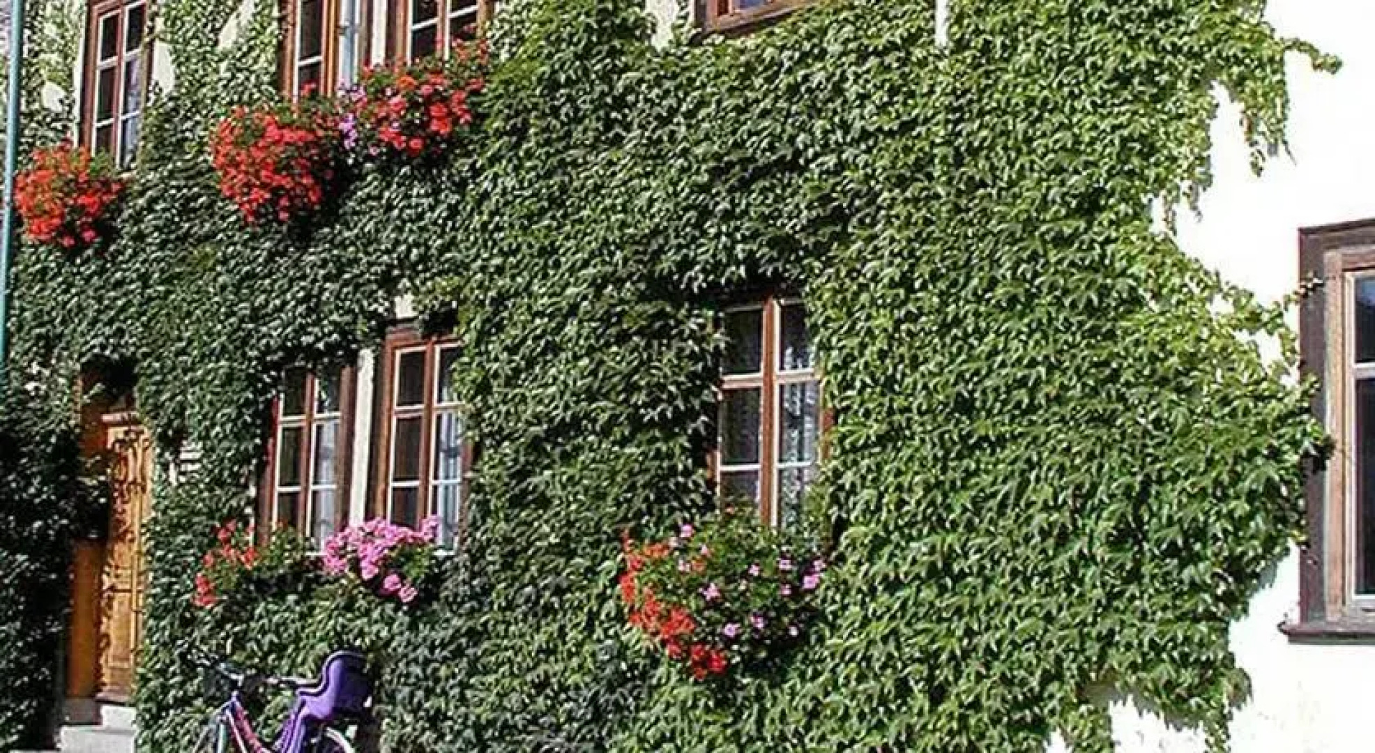 Pension Johanna Specht