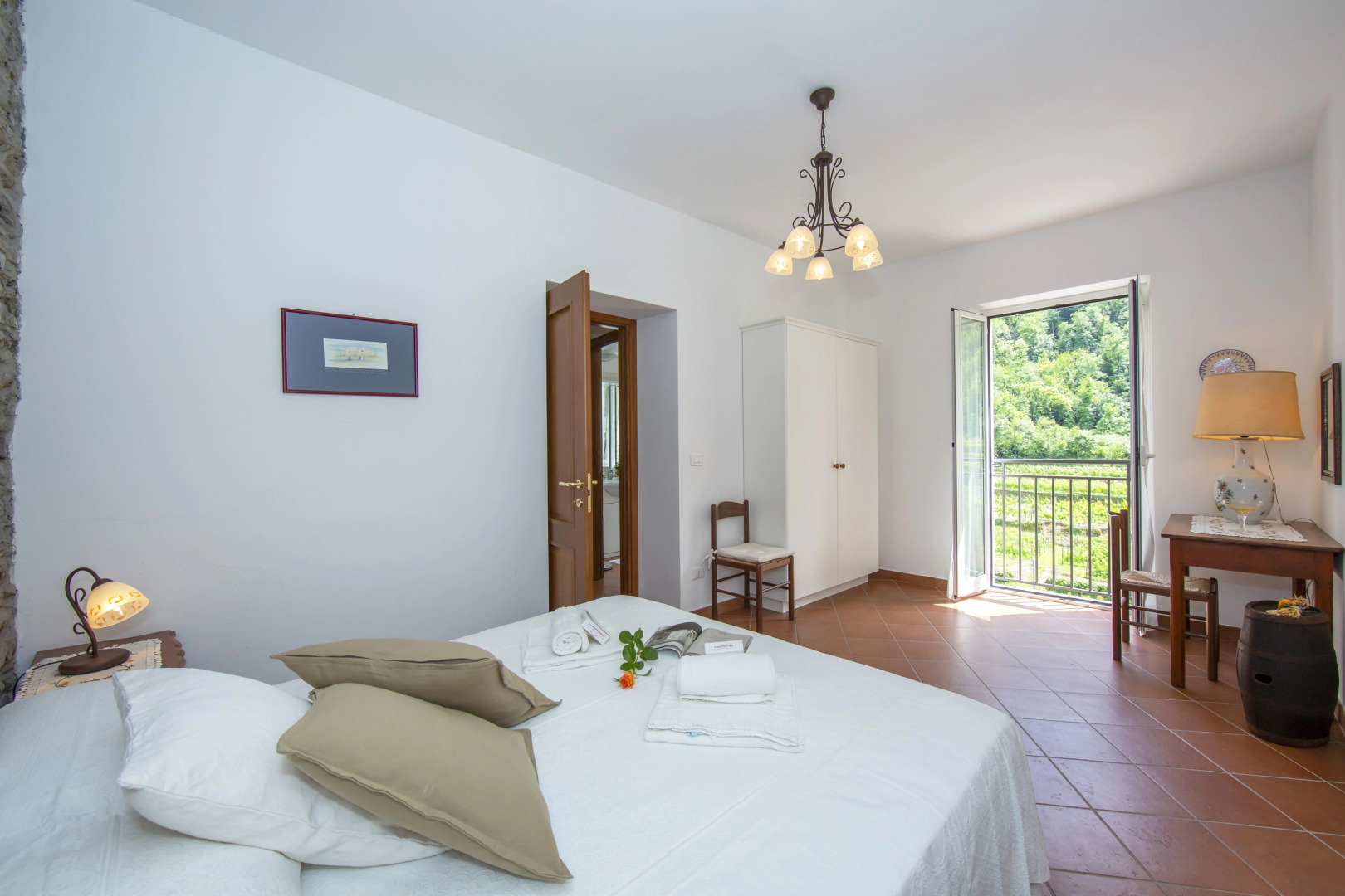 Geraneo among vineyard