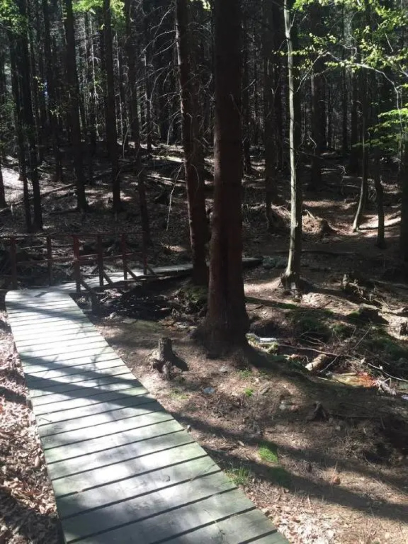 Apartament Nowoczesny