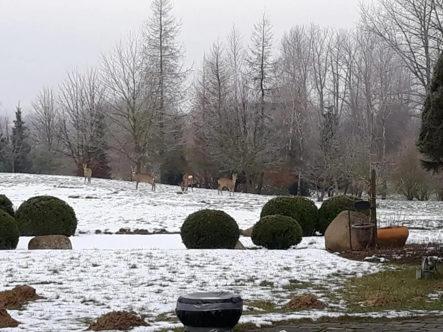 Dworek nad Regą
