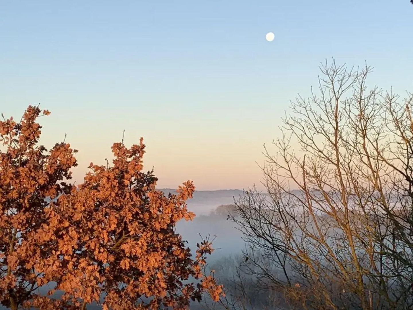 Domaine de Quintalone