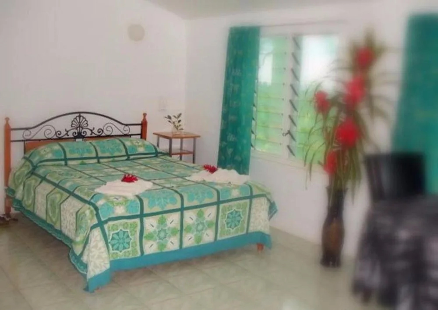 Dave Parker's Eco Lodge