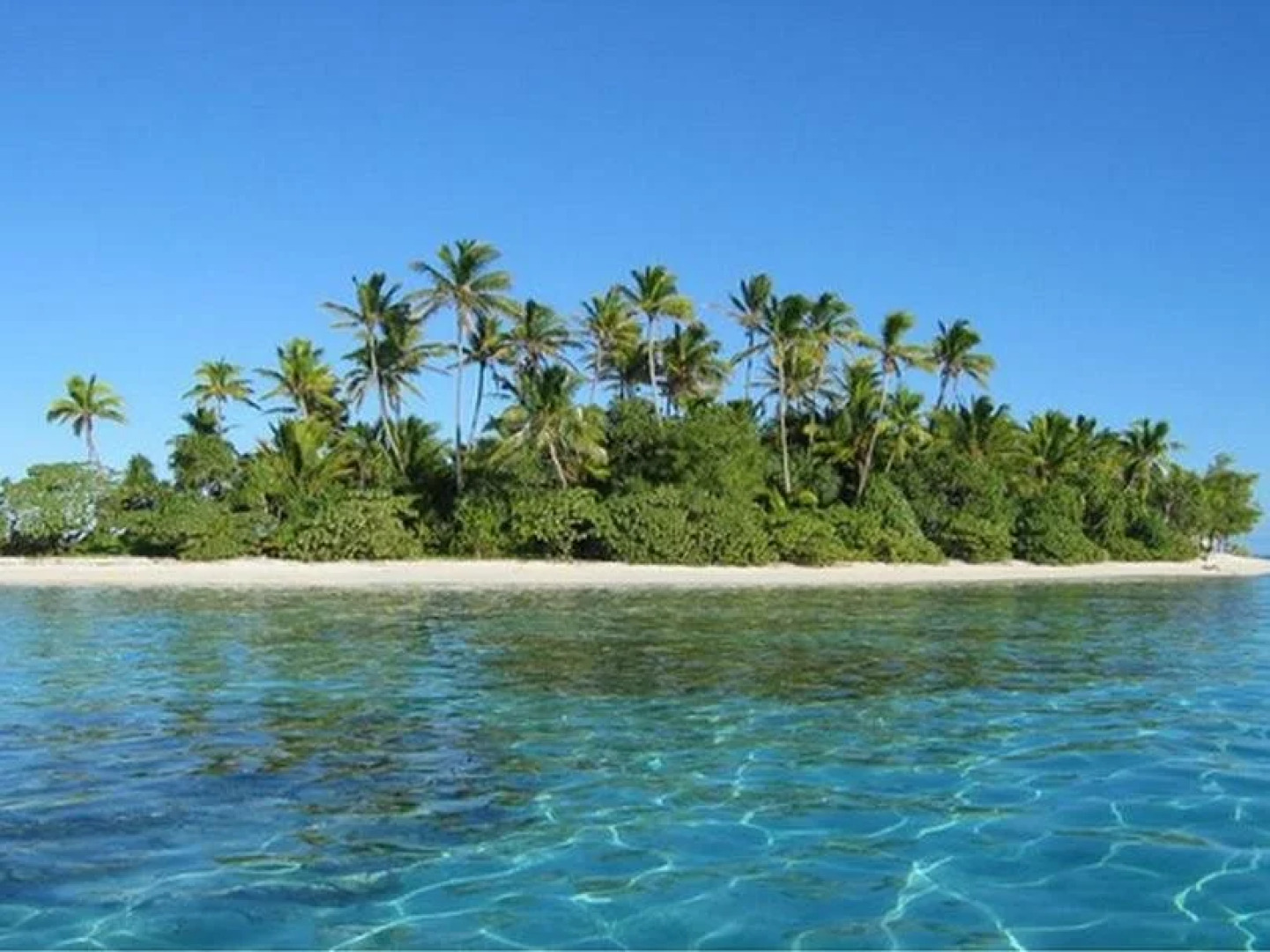 Chez Bianca & Benoit