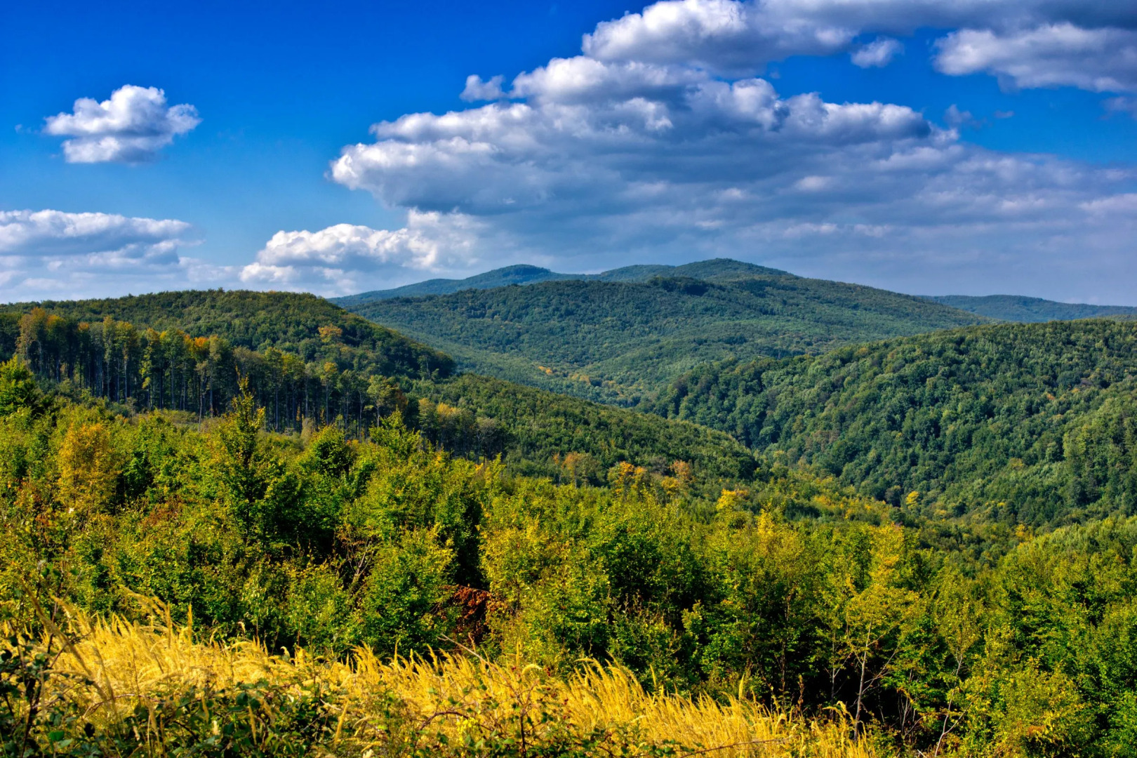 Rural Homestead Trenkovo