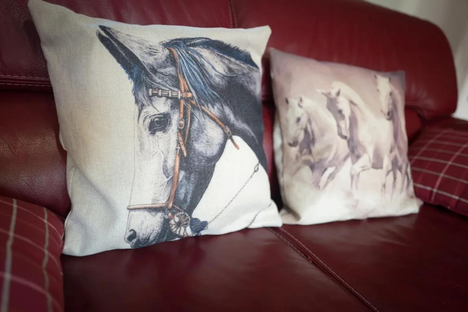 La Charmeuse D'etretat