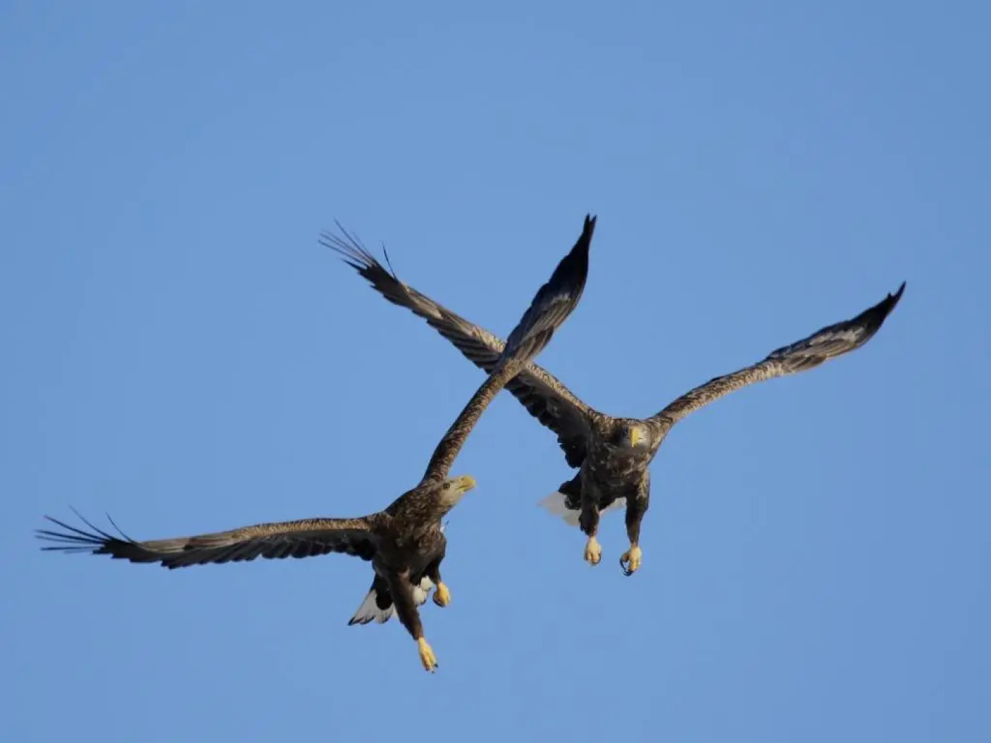 Kushiro Prince Hotel