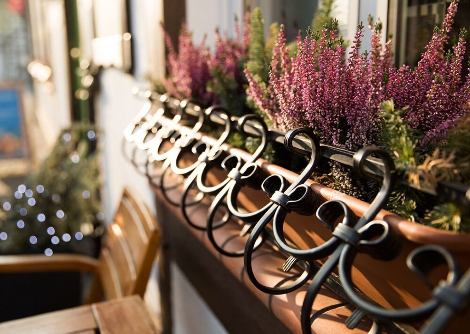 Mistral Dom Wakacyjny