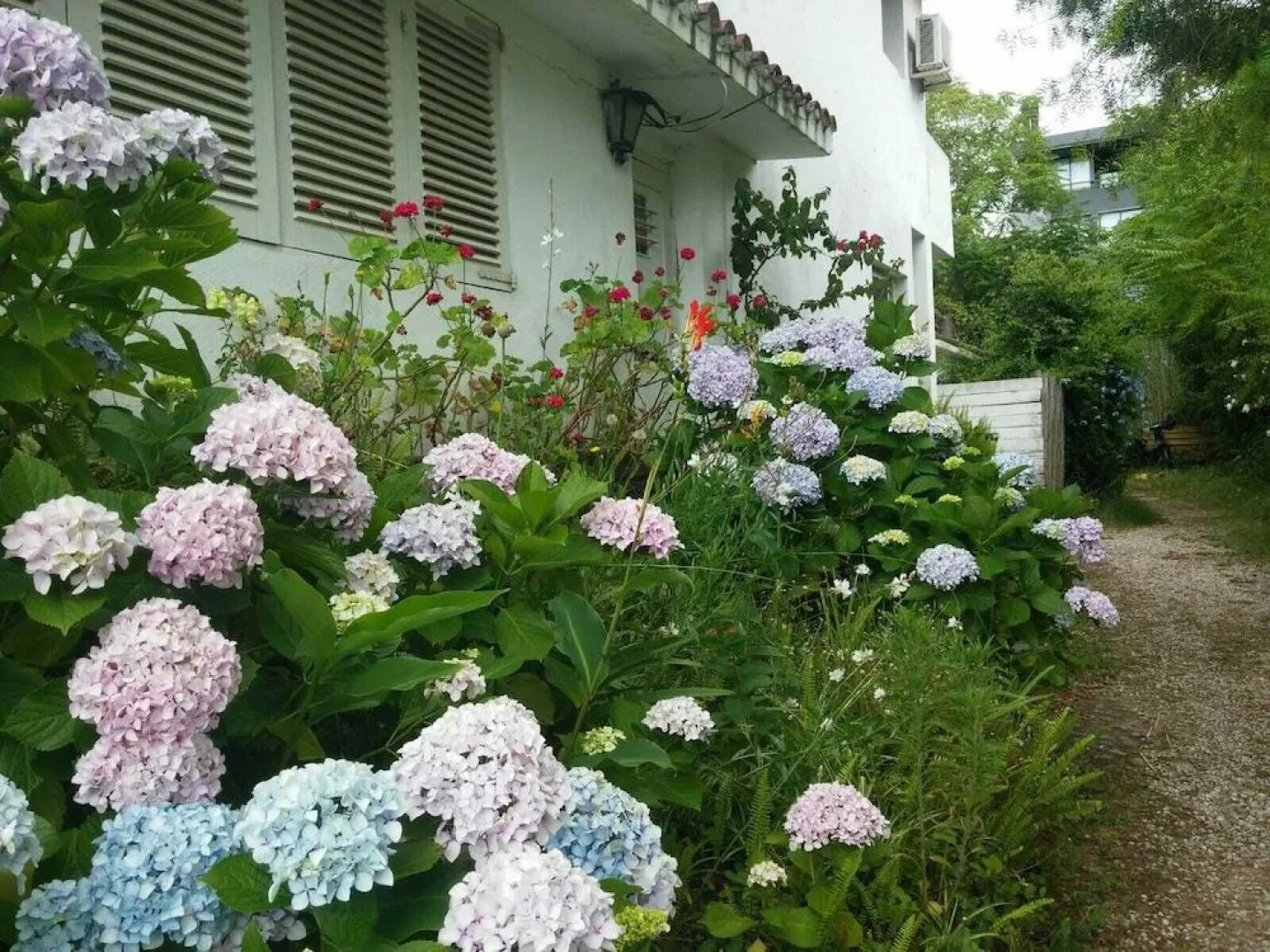 La Lomita del Chingolo
