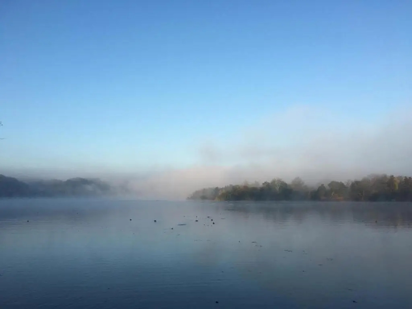 FRANKES LODGE Apartment mit Garten und Pool