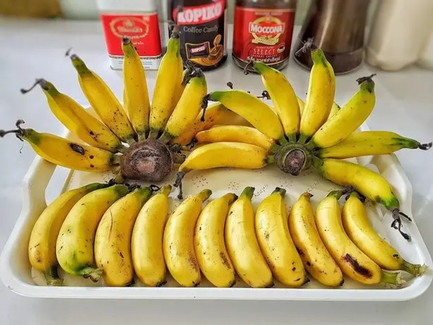 Viviendas Vacacionales Isla Centro