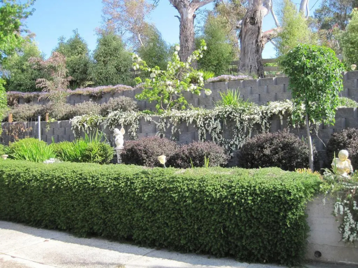 Trevallyn House B & B