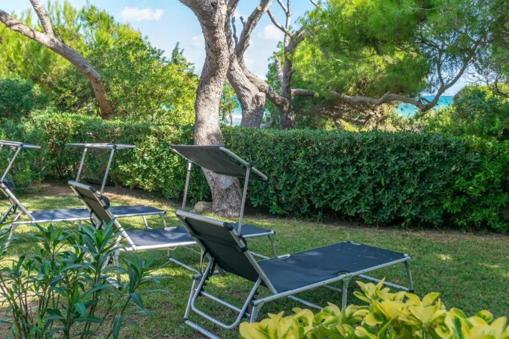 Villa Franciscus