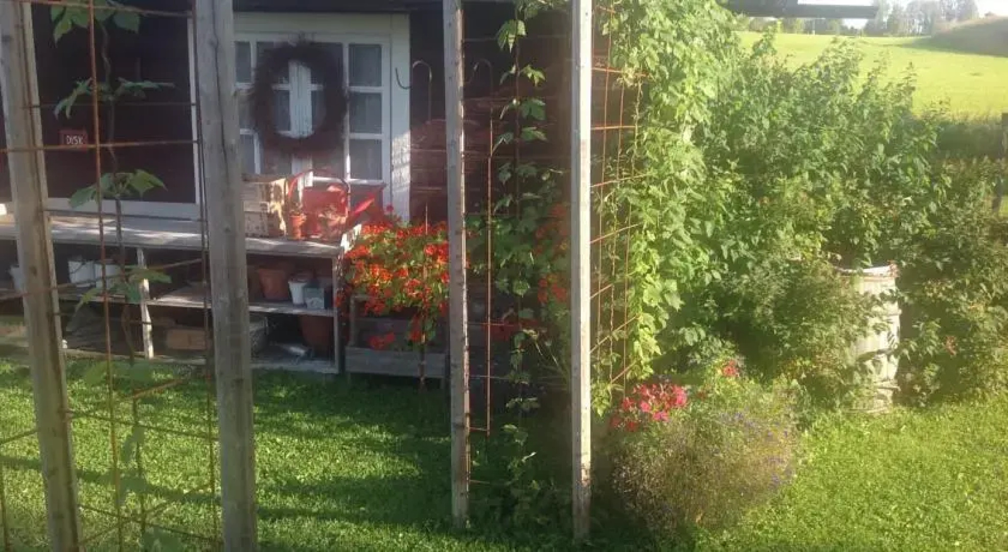 Bed and Breakfast Bryggstun