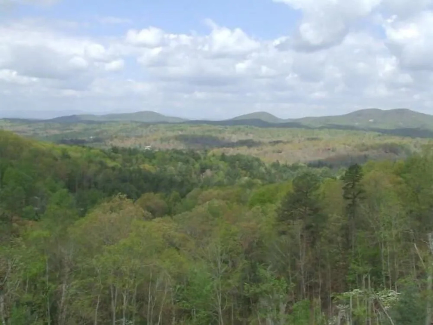 BEAR RIDGE Apartment 4 NEVAEH CABIN RENTALS