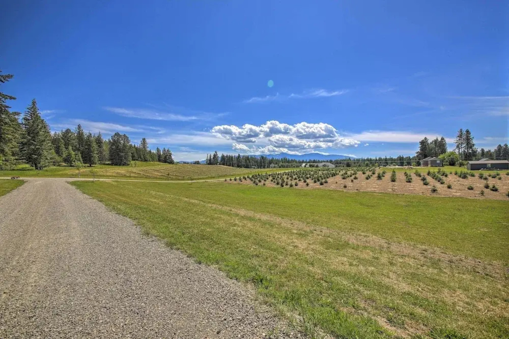 Serene Kootenai Cabin - 3 Mi to Dtwn & River!