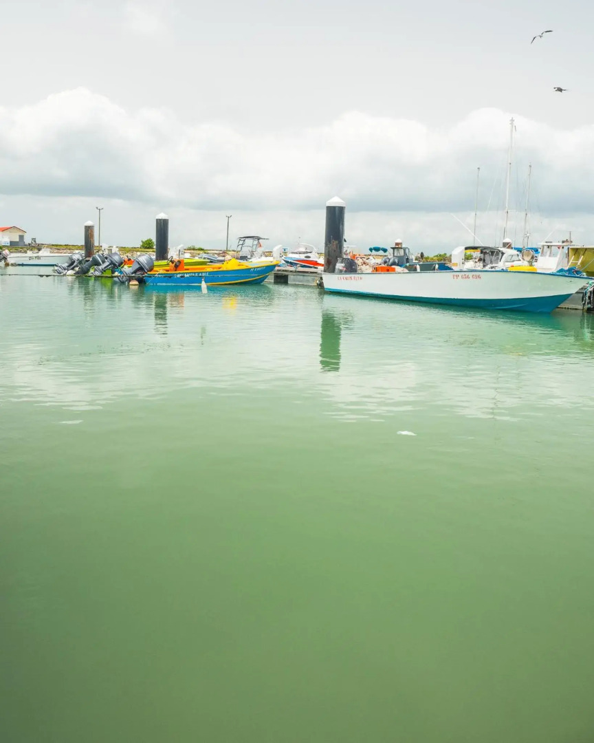 T2 Jacuzzis et piscine au centre ville de Port-Louis