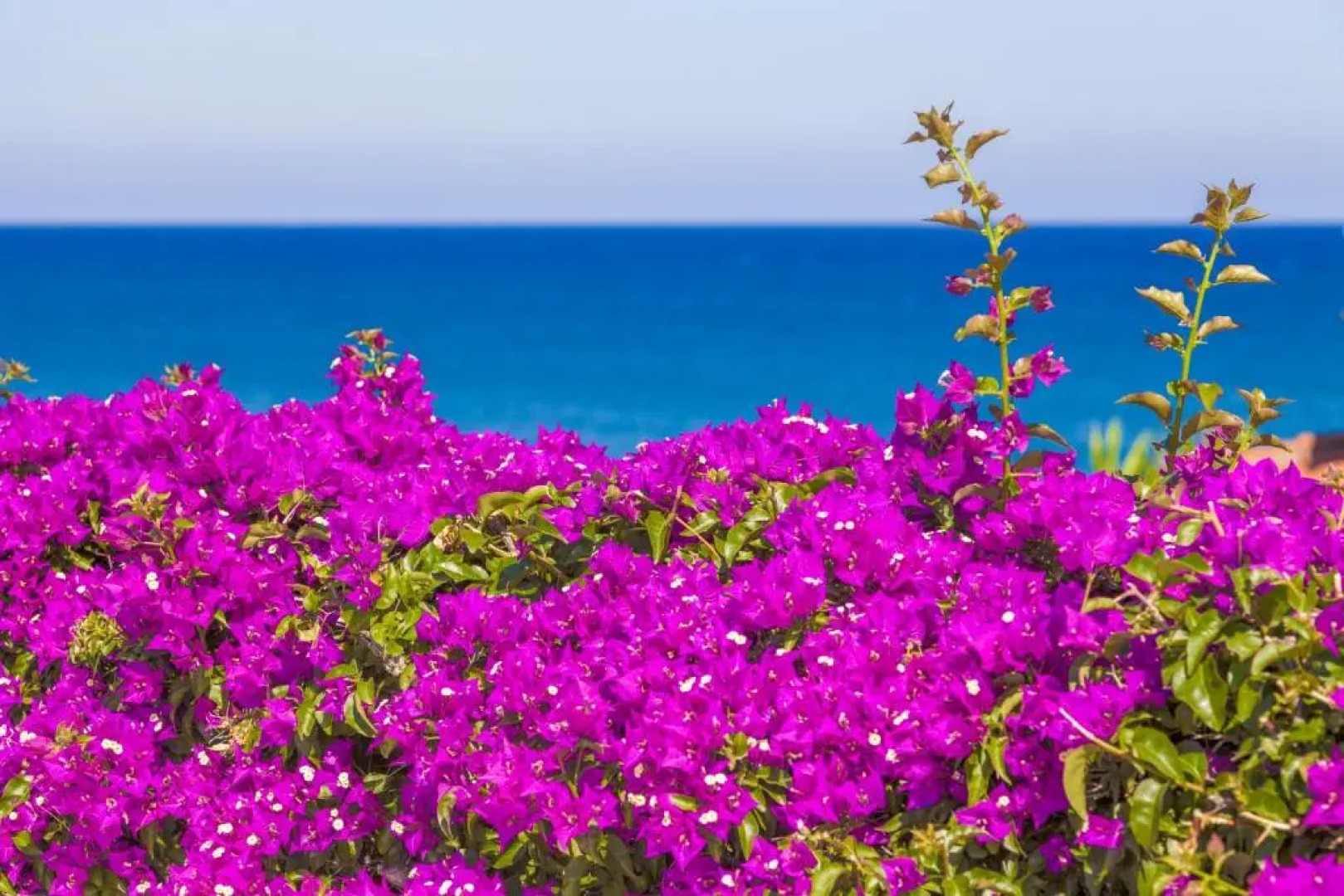 Villa Lucrezia - San Lorenzo al Mare