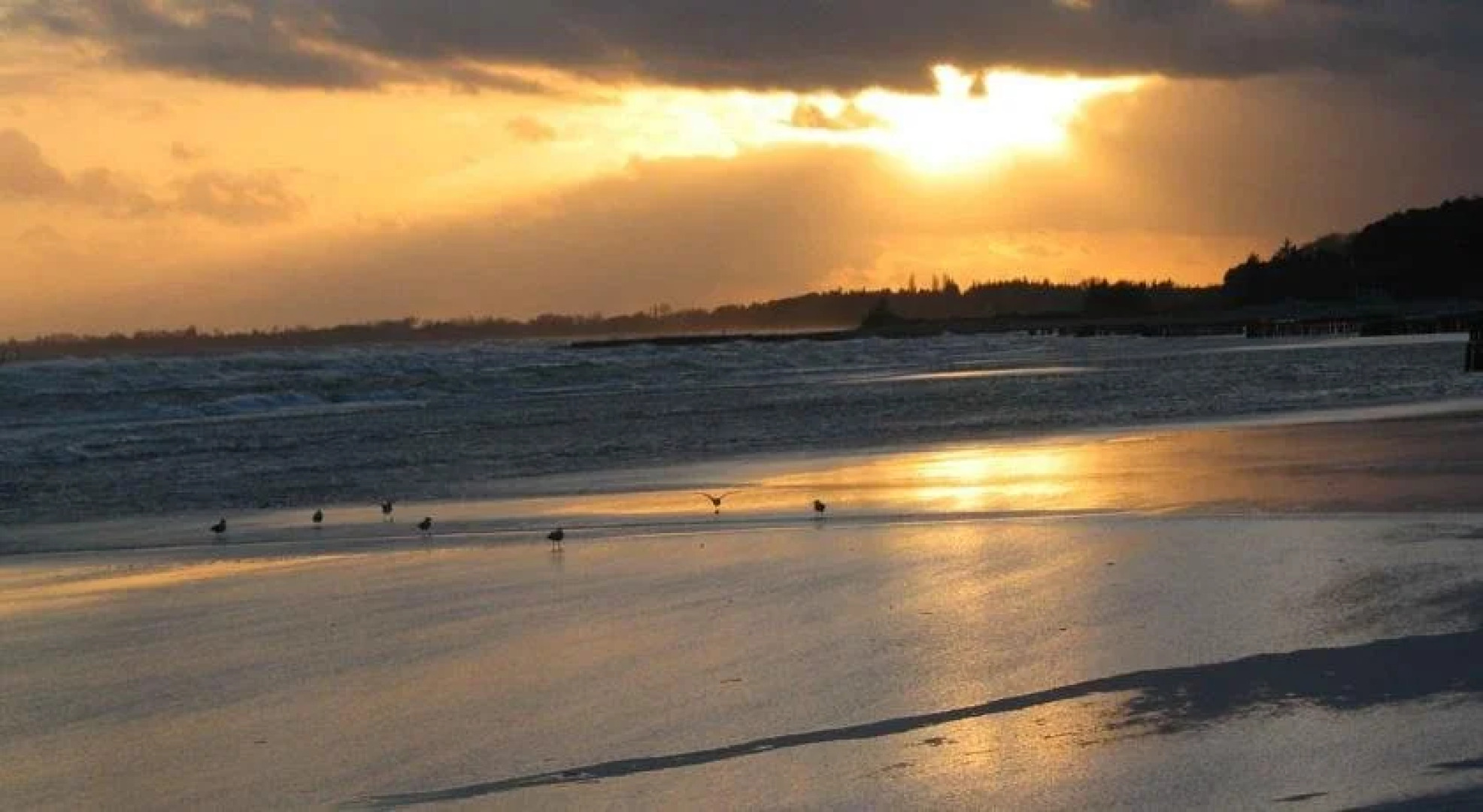 Bakkegaard Møns Klint