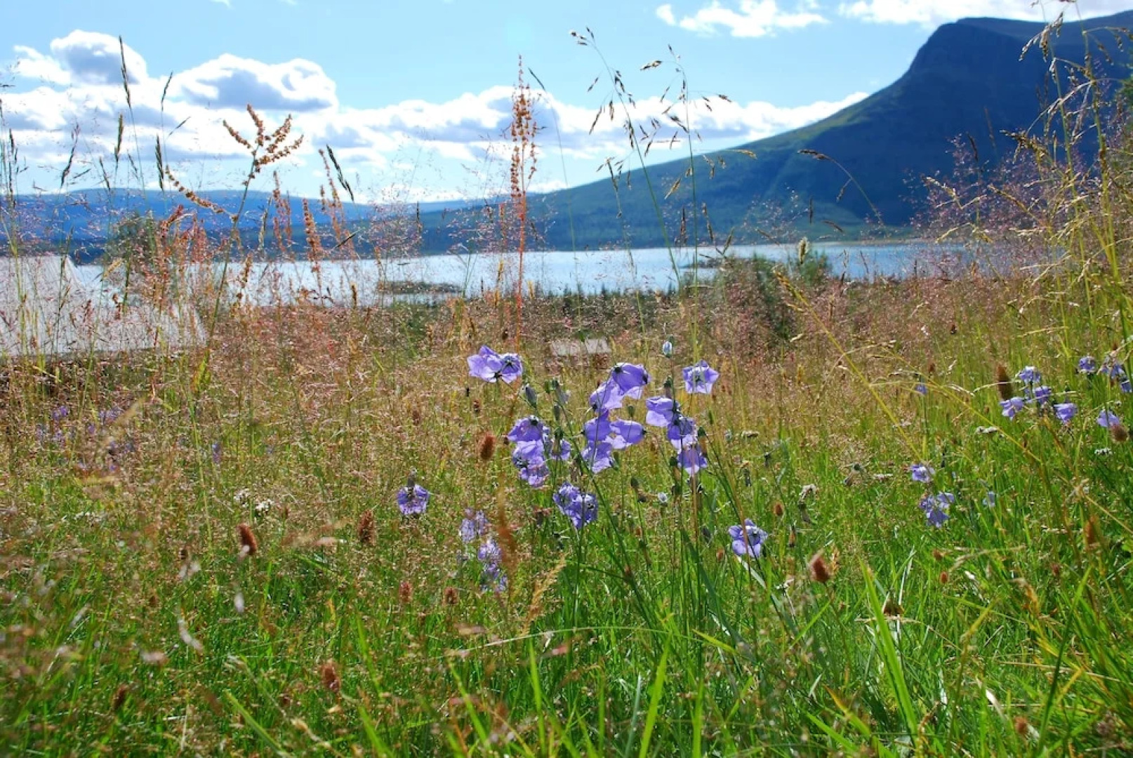 Gällivare Bed & Breakfast