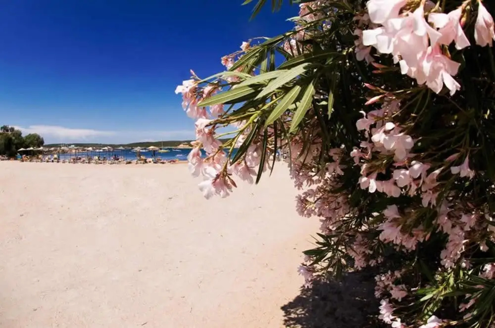 Apartment With 2 Bedrooms in Porto Cervo, With Furnished Garden and Wifi