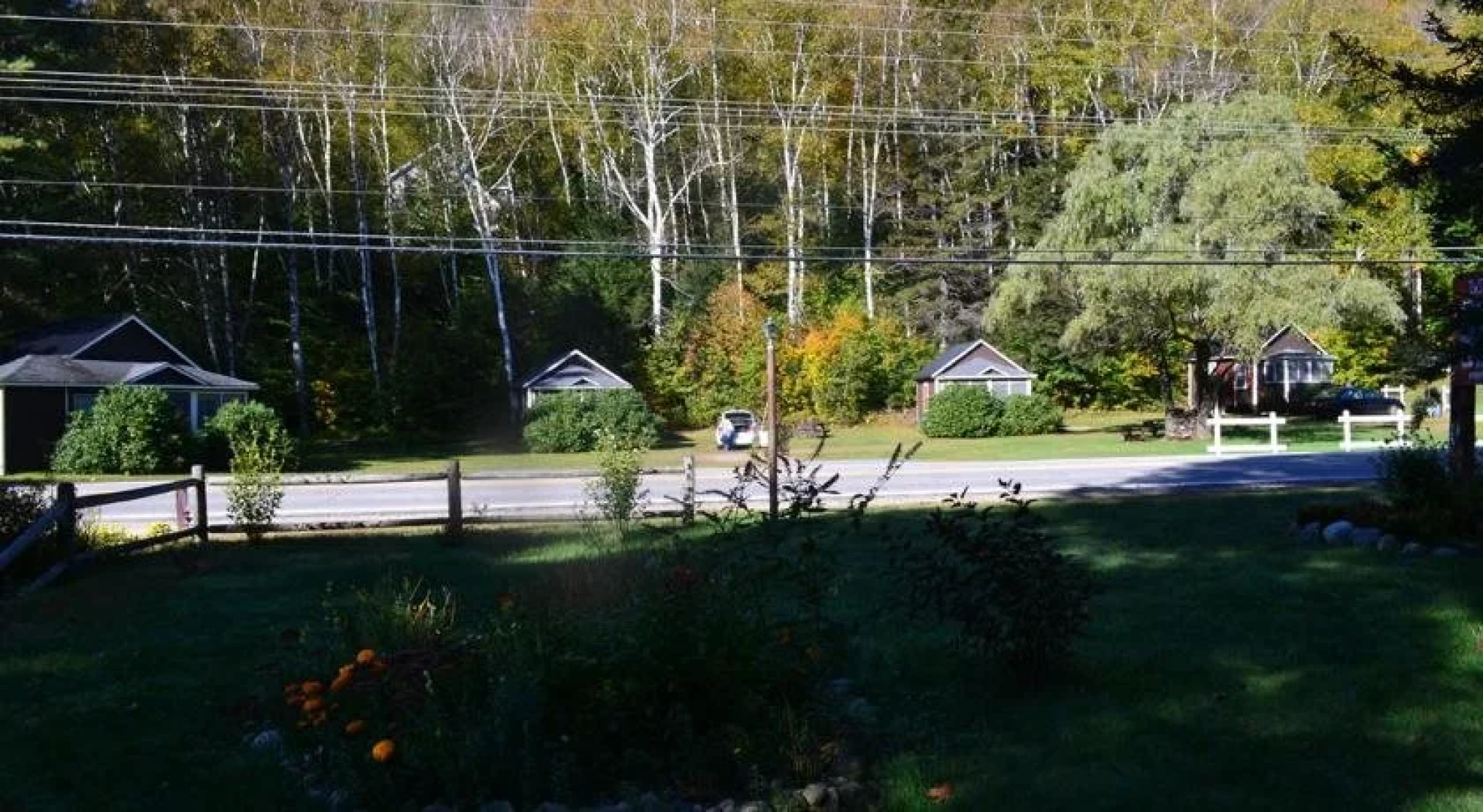 Maple Lodge Cabins