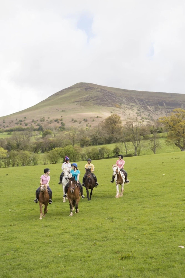 Baskerville Hall Hotel