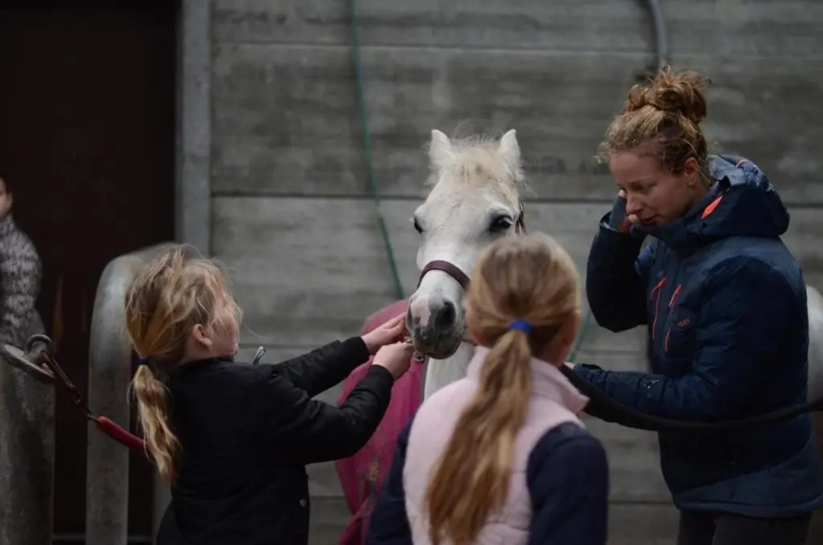 Chalet Stal Veersedam