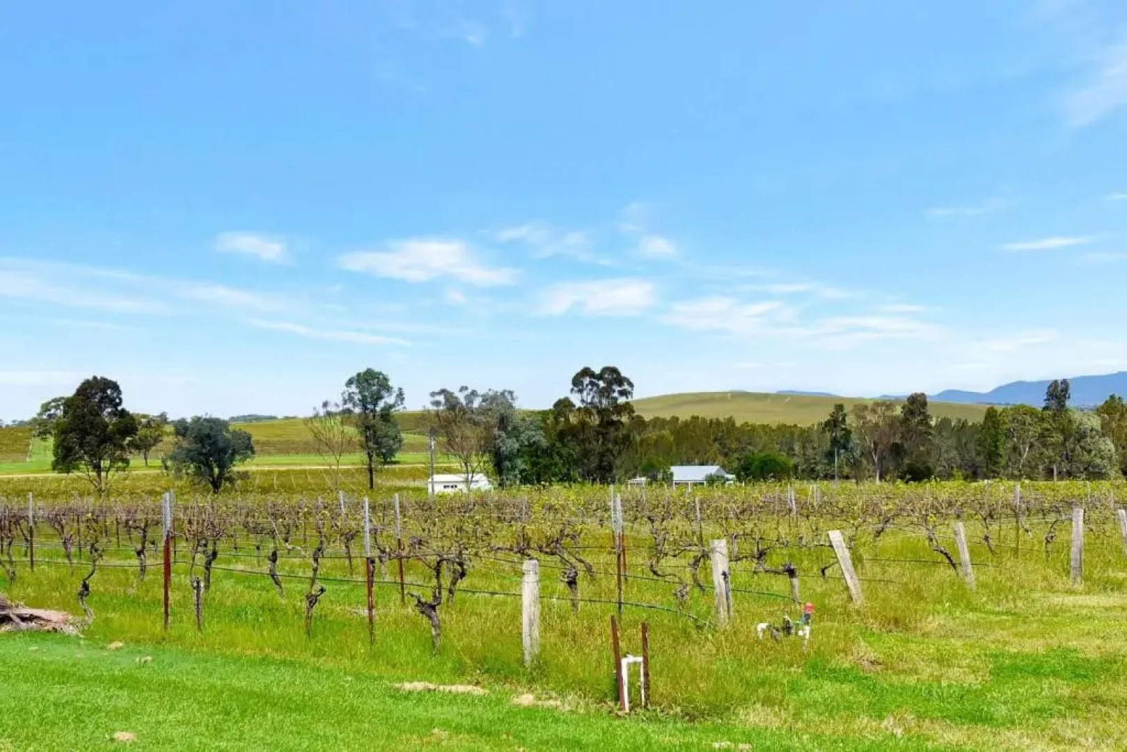 Blueberry Hill Vineyard Studio Rose Room
