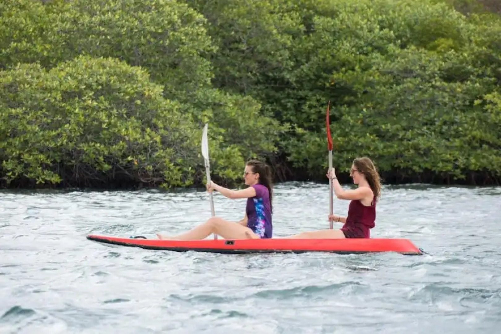 Made Taro Menjangan Homestay