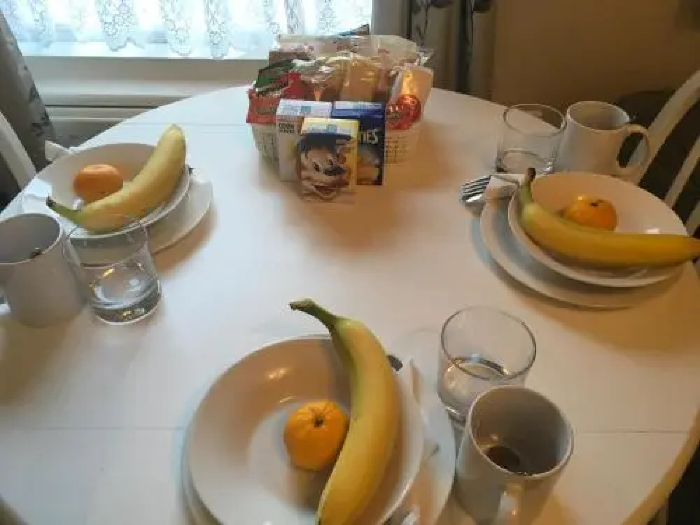 Oak Tree Guest House