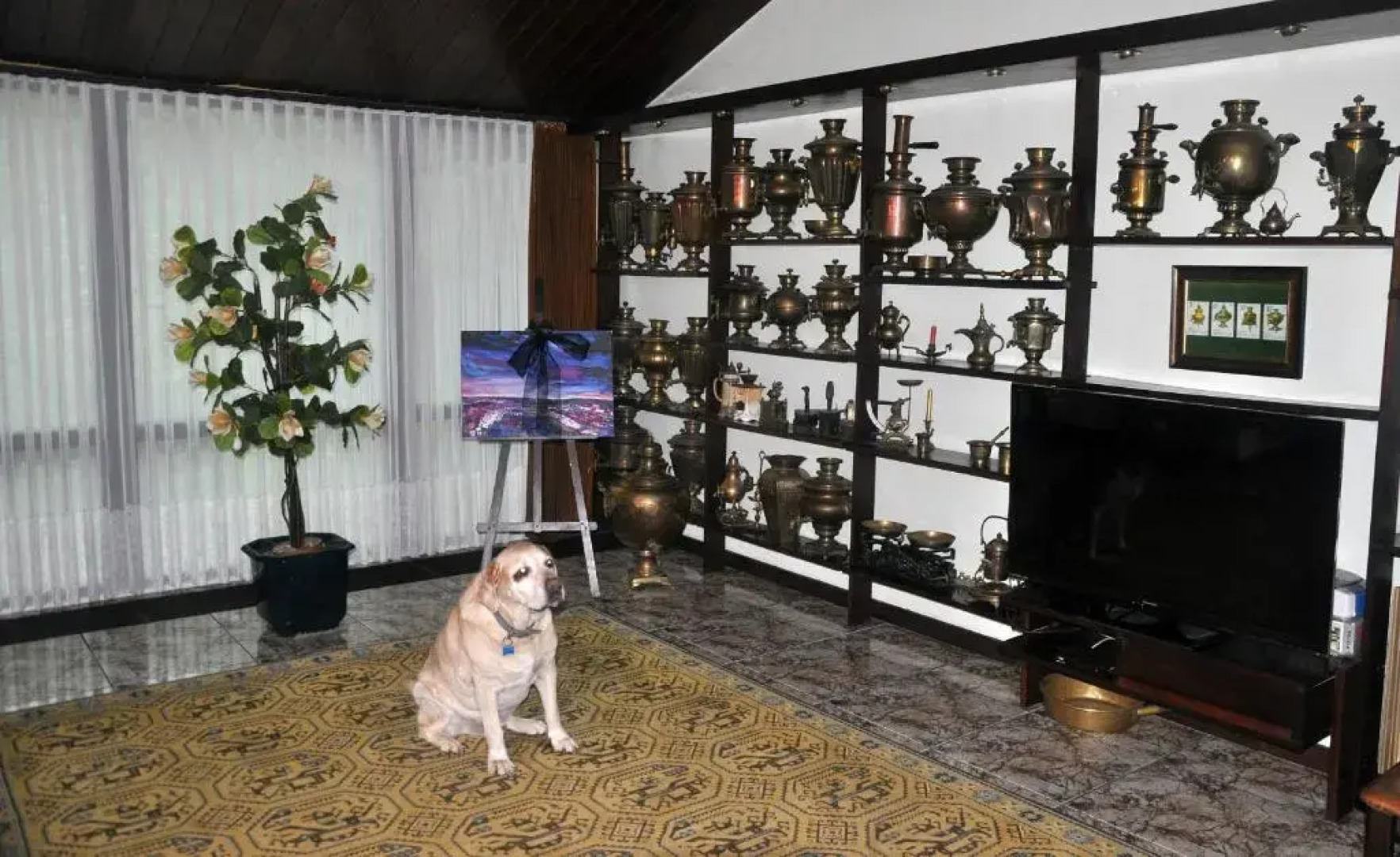 Pokoje Gościnne pod Sikornikiem