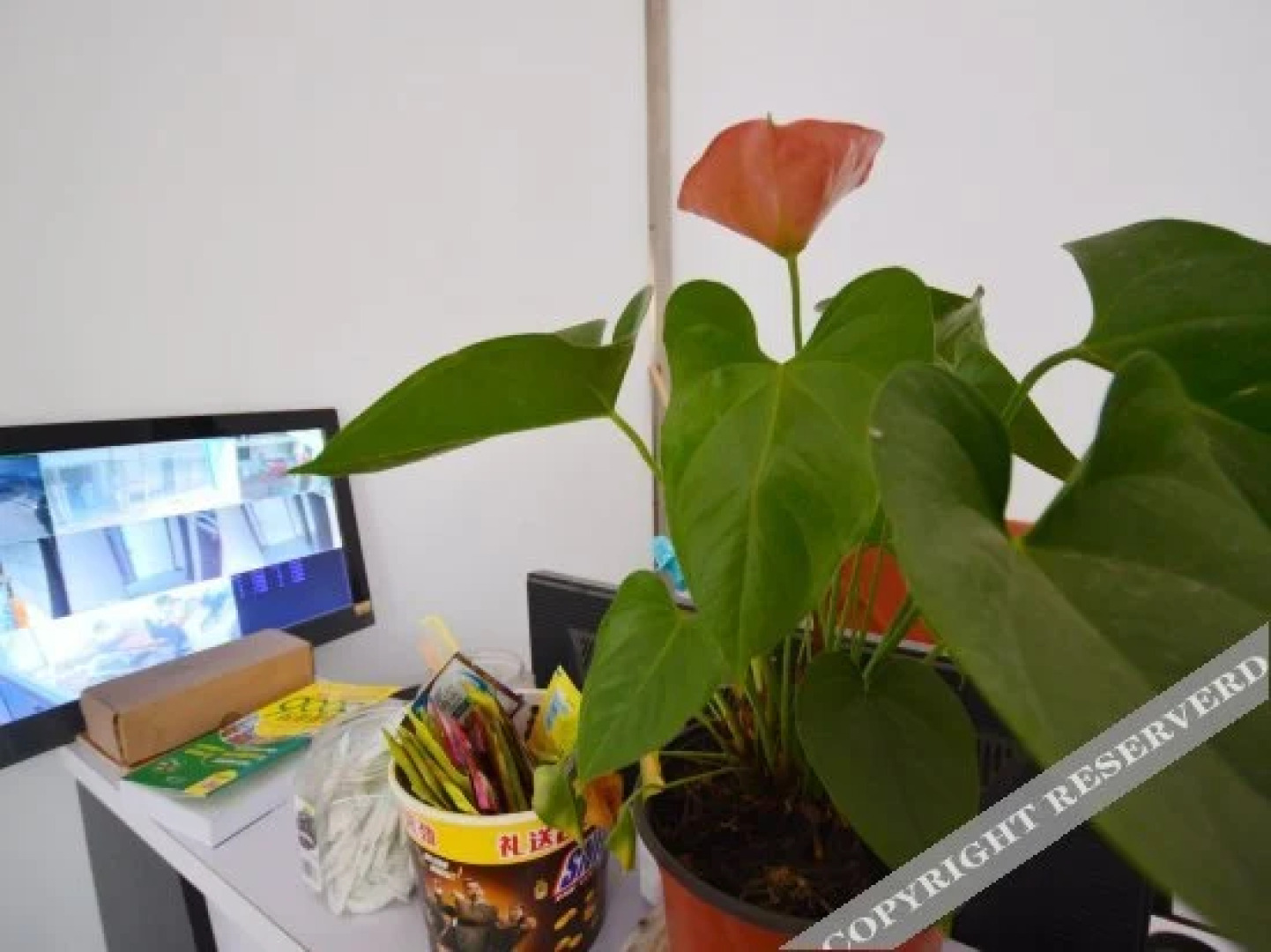 Tiantian Express Hotel