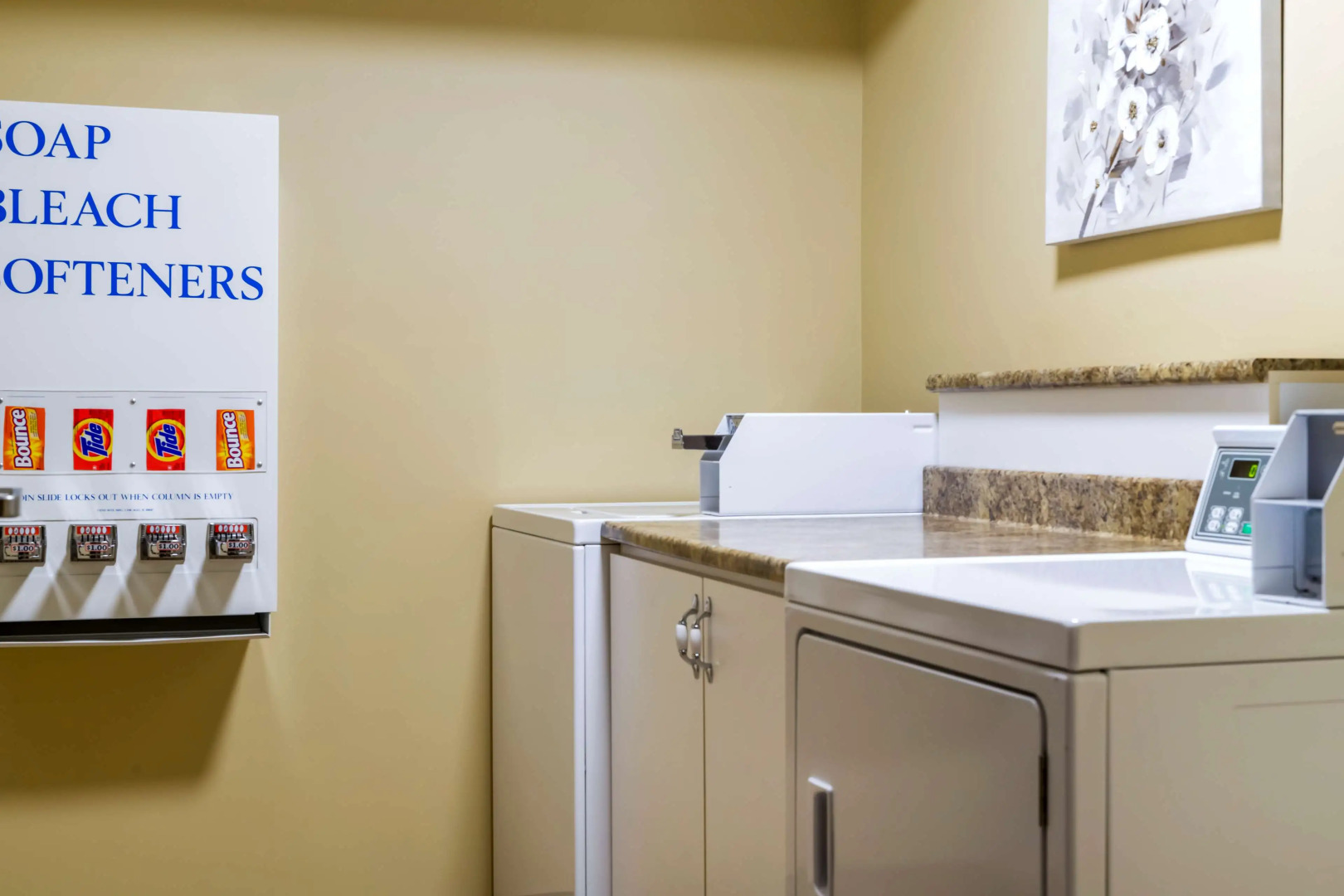 Best Western Plus Grand-Sault Hotel & Suites