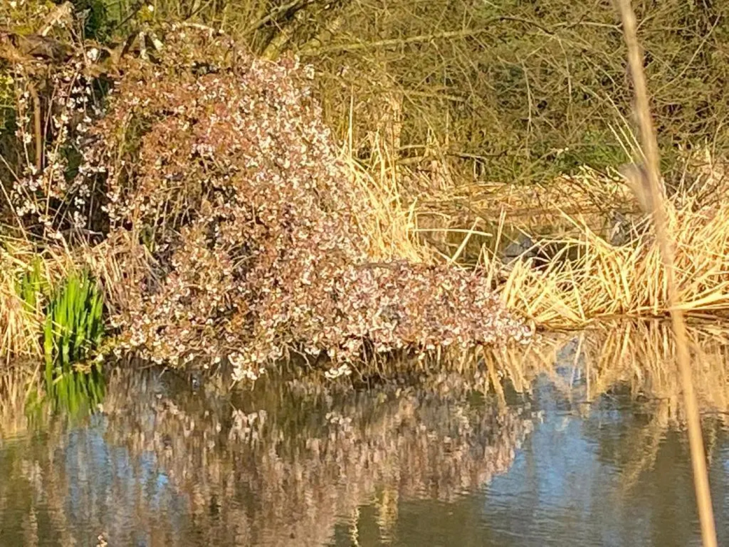 Beautiful Lakeside Safari Lodge