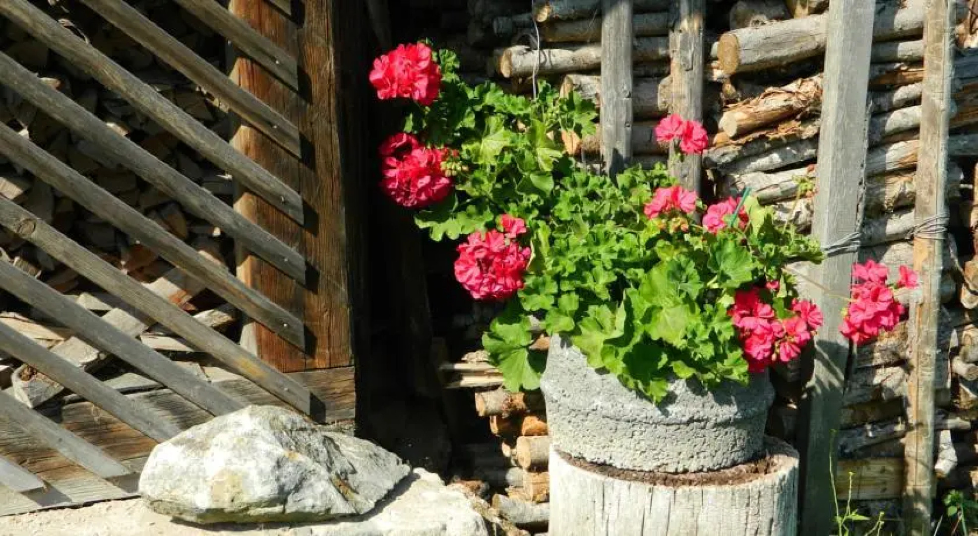 Brīvdienu māja Pie sievasmātes