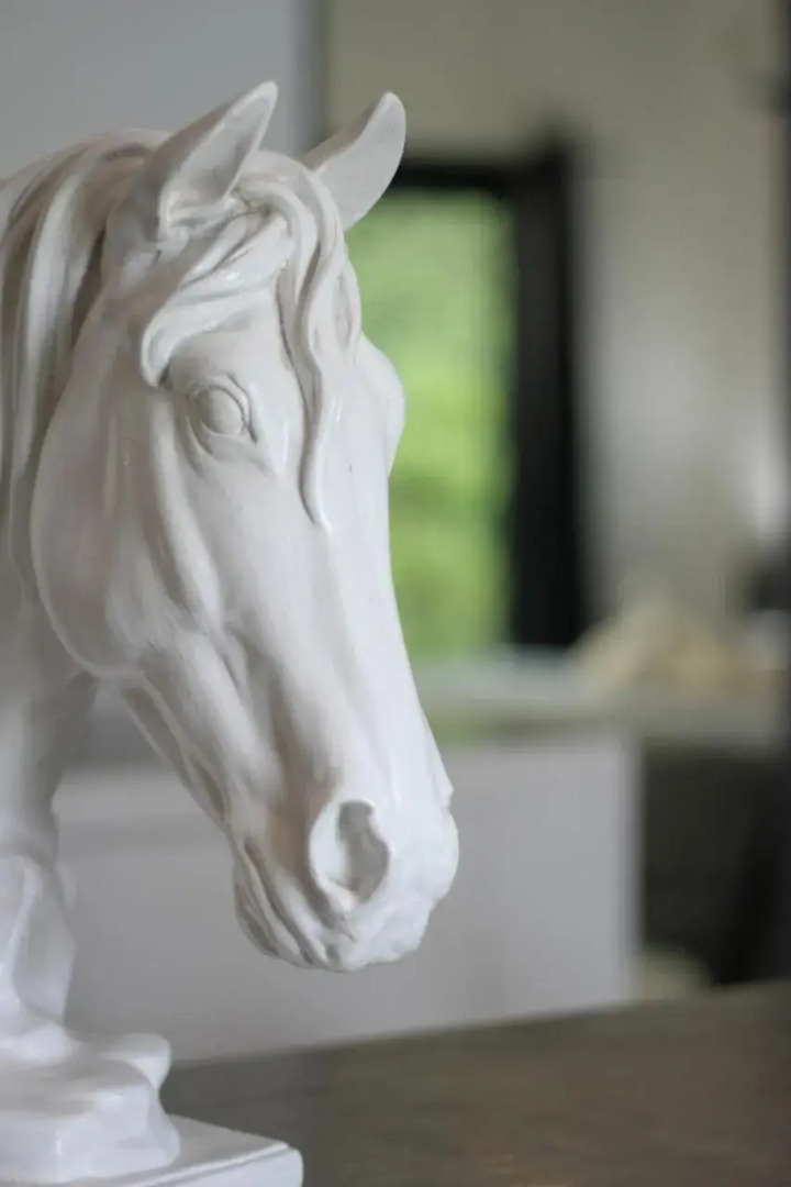 Show Pony Beach Resort and Suites