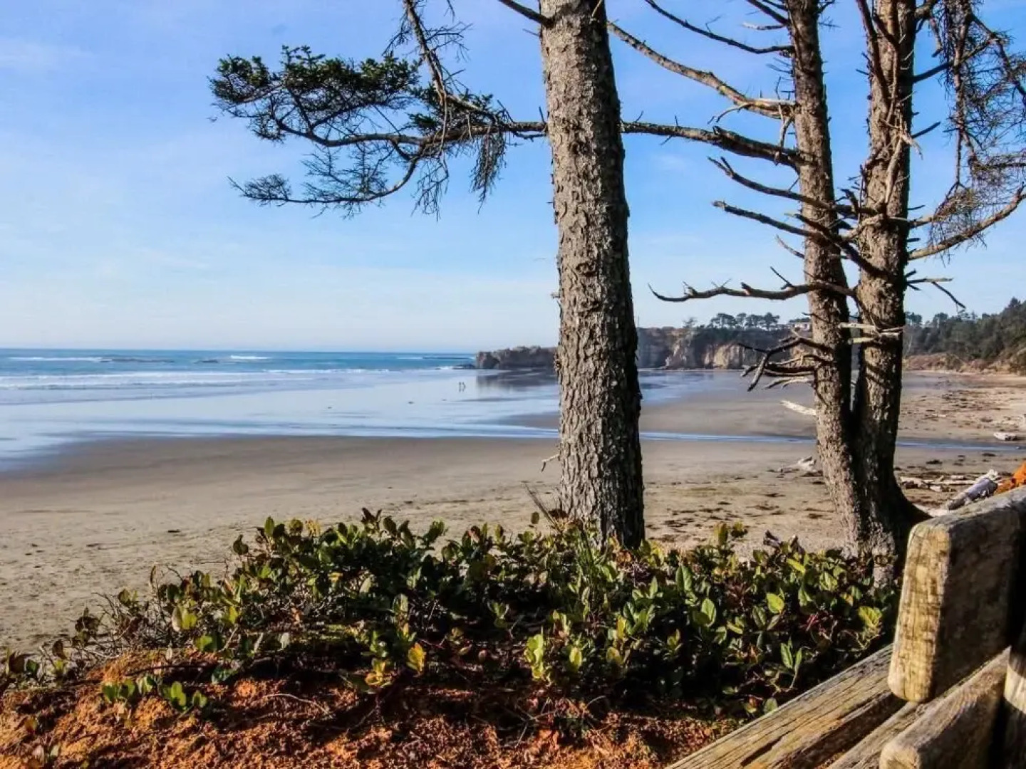 Alpine Chalet 5 Full Loft