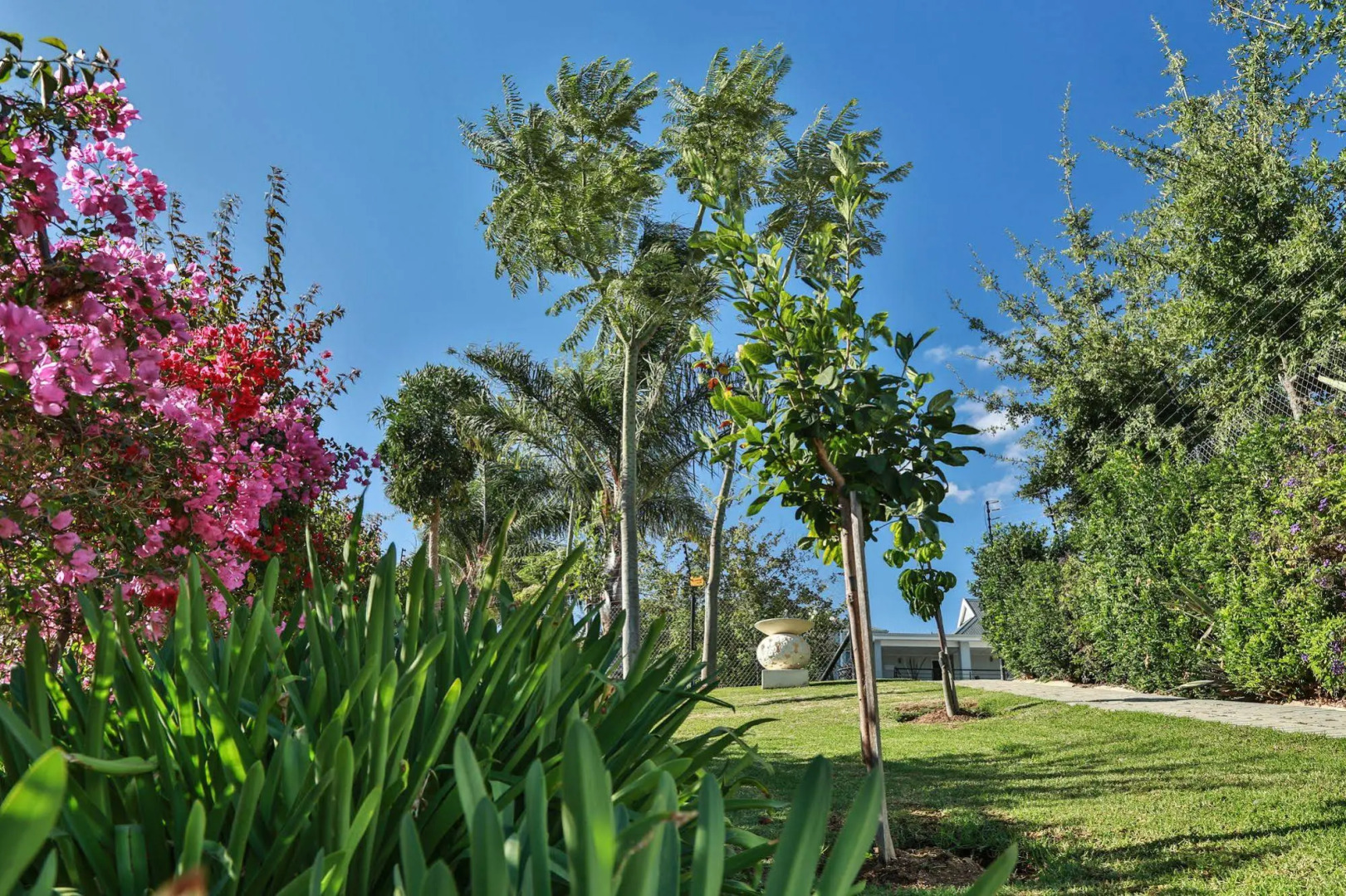 Monte Vidéo Guest House