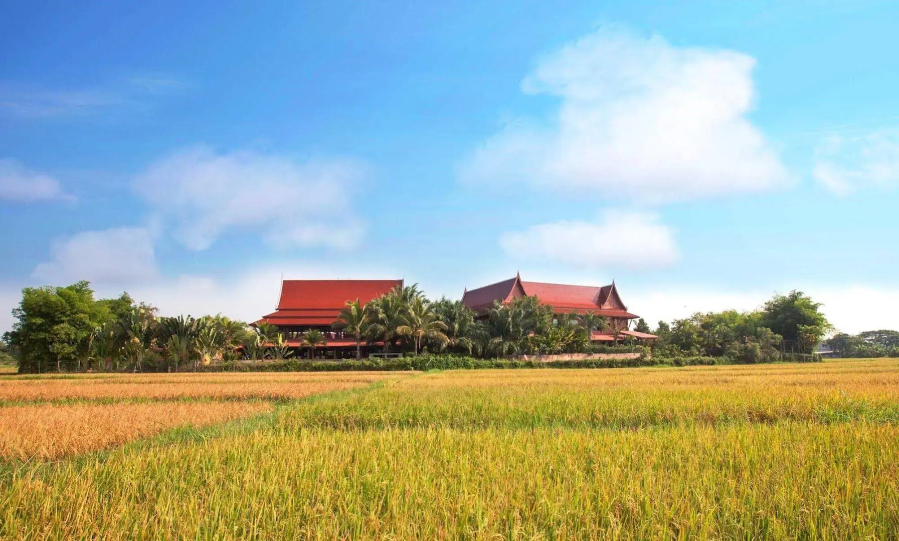 Baan Suchadaa Lampang Resort - Adults Only