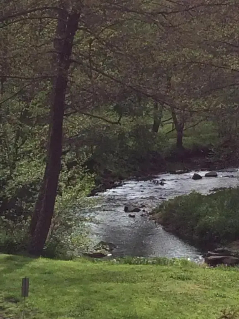 Les Sittelles de Bamboche