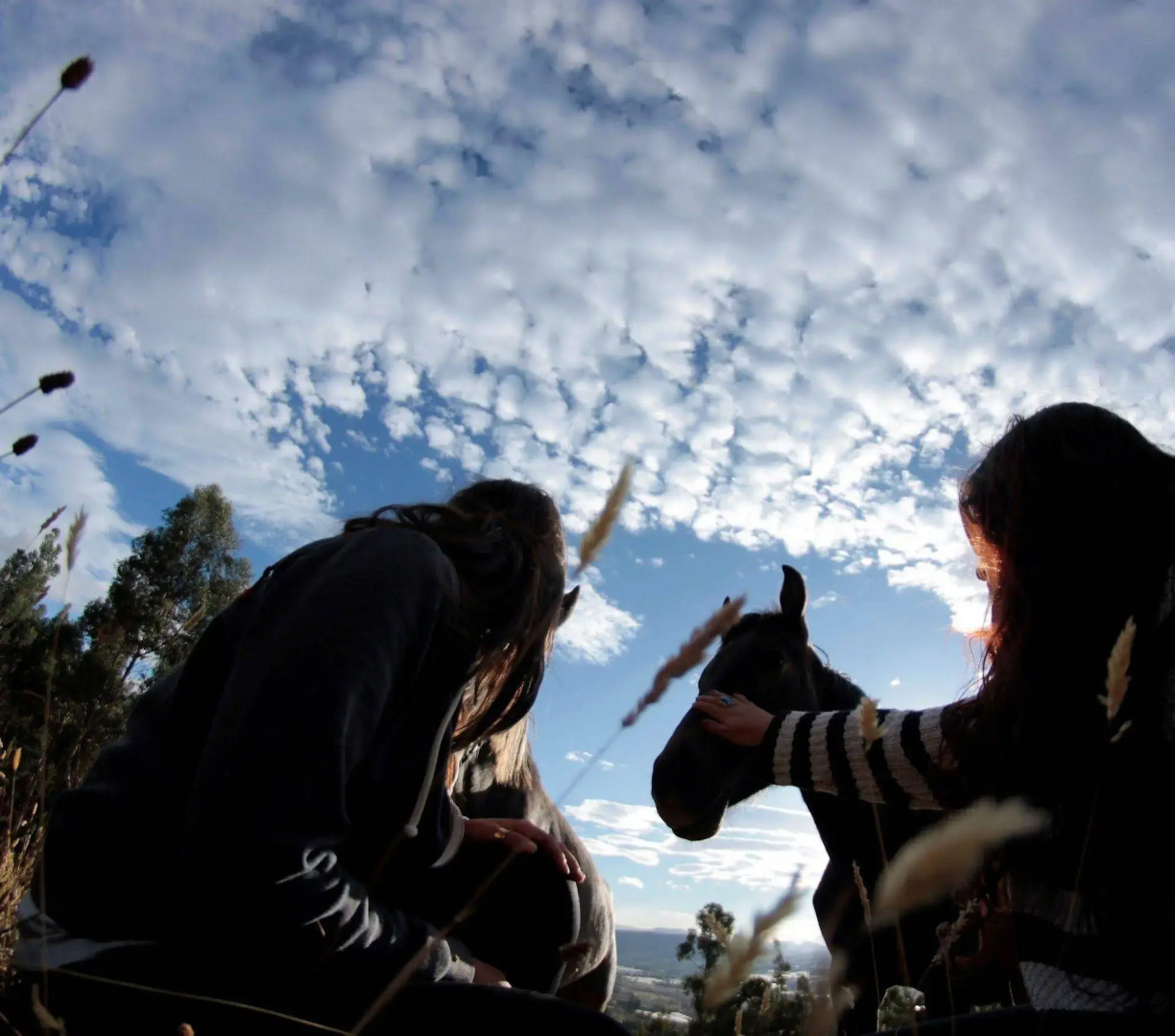 Hostería Loma Larga - Cayambe