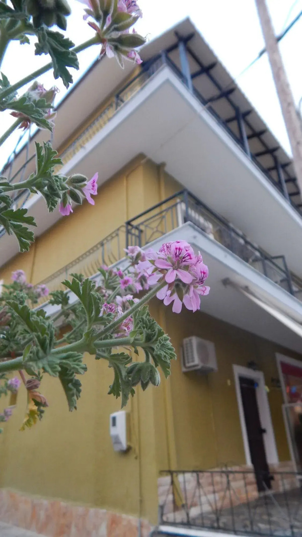 Petania Hotel & Apartments