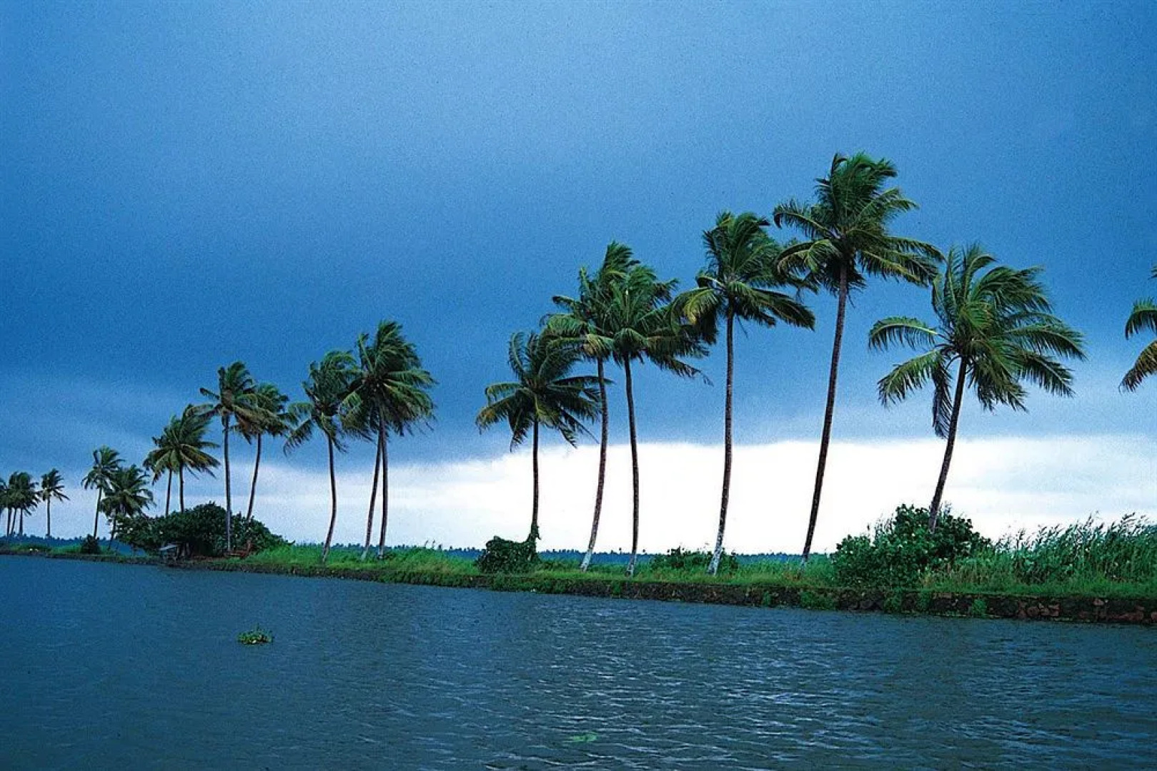 Green Fields Kumarakom