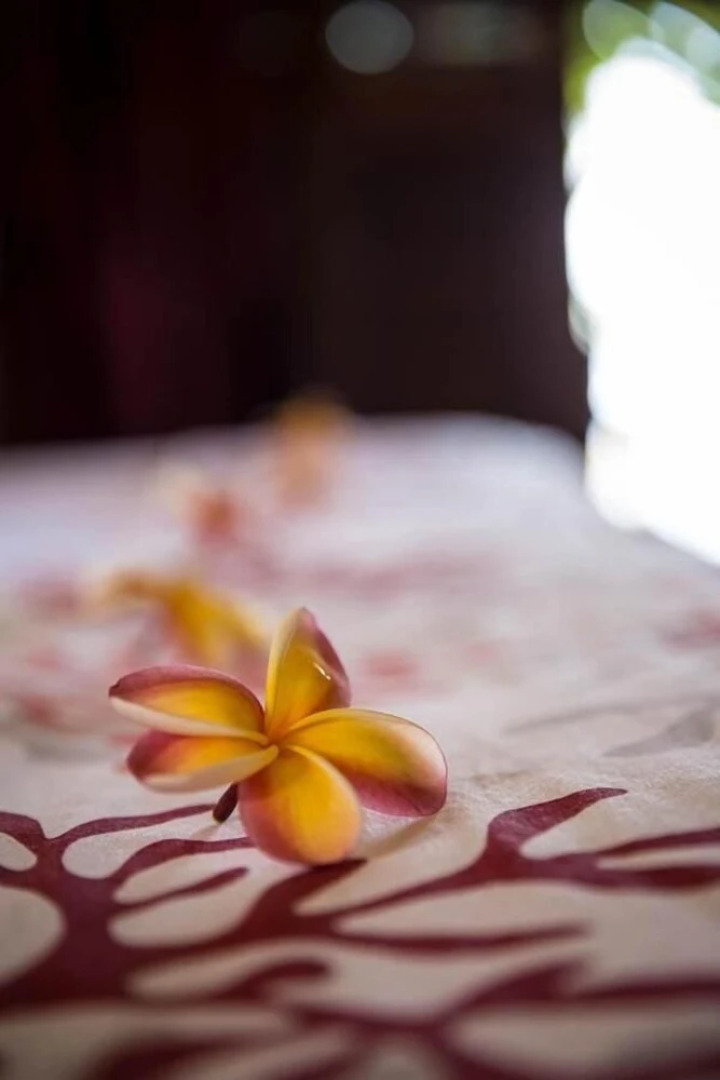 Villa Bora Bora Lagoon