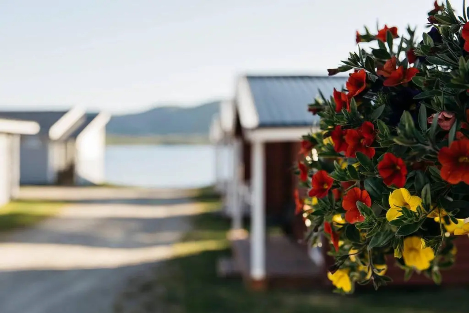 Skoganvarre Villmark