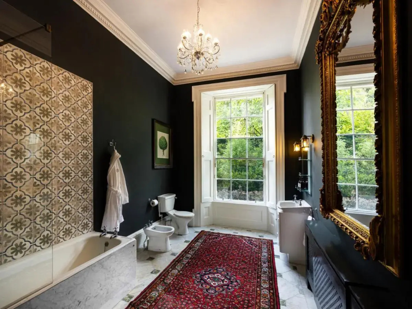 The Forest at Mount Congreve Gardens